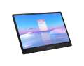 Monitor PRO MP161 15,6 cala FHD/60Hz/2xUSB C -3307610