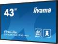 IIYAMA Monitor 43 cale LH4354UHS-B1G 24/7, IPS, ANDROID.11, 4K, SDM, 2x10W-3666992