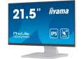 Monitor 22 cale T2252MSC-W2 10 PKT. POJ,IPS,HDMI,DP,2x1W,7H -3743016