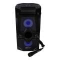 PRIME3 Głośnik APS41 system audio Bluetooth Karaoke-4314192