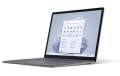 Microsoft Notebook Surface Laptop 5 13,5/256/i5/8 Platinum QZI-00009 PL-4388892
