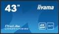 IIYAMA Monitor ProLite LH4341UHS-B2 42.5 cala 24/7,500cd,4K,IPS,3xHDMI-4463479