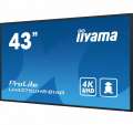 IIYAMA Monitor 42.5 cala ProLite LH4375UHS-B1AG,24/7,IPS,ANDROID 11-4463504