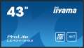 IIYAMA Monitor 42.5 cala ProLite LE4341S-B2 IPS,FHD,18/7,LAN,HDMI-4463512