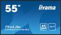 IIYAMA Monitor 54.6 cala ProLite LH5541UHS-B2 24/7 500cd 4K IPS-4463536
