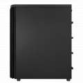 Asus ProArt PA401 - Wood Edition TG