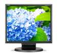 NEC Monitor 17 cali LCD MS E172M bk DVI 1280x1024, HDMI, VGA-369969