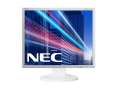 NEC Monitor 19 cali LCD EA193Mi biały IPS 6ms 1000:1 DVI-D Display Port, 1000:1-712295