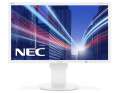 NEC Monitor 23 cale EA234WMi IPS W-LED, DisplayPort, DVI-D Biały-712286