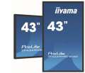 IIYAMA Monitor wielkoformatowy 43 cale TF4339MSC-B1AG,AMVA,HDMIx2,DP,RJ45,IP54,24/7,POJ.12p-1057487