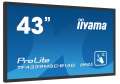 IIYAMA Monitor wielkoformatowy 43 cale TF4339MSC-B1AG,AMVA,HDMIx2,DP,RJ45,IP54,24/7,POJ.12p-1057488