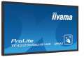 IIYAMA Monitor wielkoformatowy 43 cale TF4339MSC-B1AG,AMVA,HDMIx2,DP,RJ45,IP54,24/7,POJ.12p-1057498