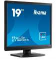 Monitor 19 cali ProLite E1980D-B1 VGA,DVI,5:4,TN,5ms,250cd -2206858
