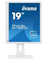 IIYAMA Monitor 19 cali B1980D-W1 DVI/VGA/5:4/PIVOT/HAS/ACR/VESA-2207200