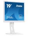 IIYAMA Monitor 19 cali B1980D-W1 DVI/VGA/5:4/PIVOT/HAS/ACR/VESA-2207201