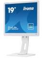 IIYAMA Monitor 19 cali B1980D-W1 DVI/VGA/5:4/PIVOT/HAS/ACR/VESA-2207202