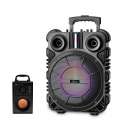Głośnik bezprzewodowy Trolley BT MT3169 Funkcja karaoke-2317872