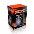 Głośnik bezprzewodowy Trolley BT MT3169 Funkcja karaoke-2317873