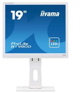 IIYAMA Monitor 19 cali B1980D-W1 DVI/VGA/5:4/PIVOT/HAS/ACR/VESA